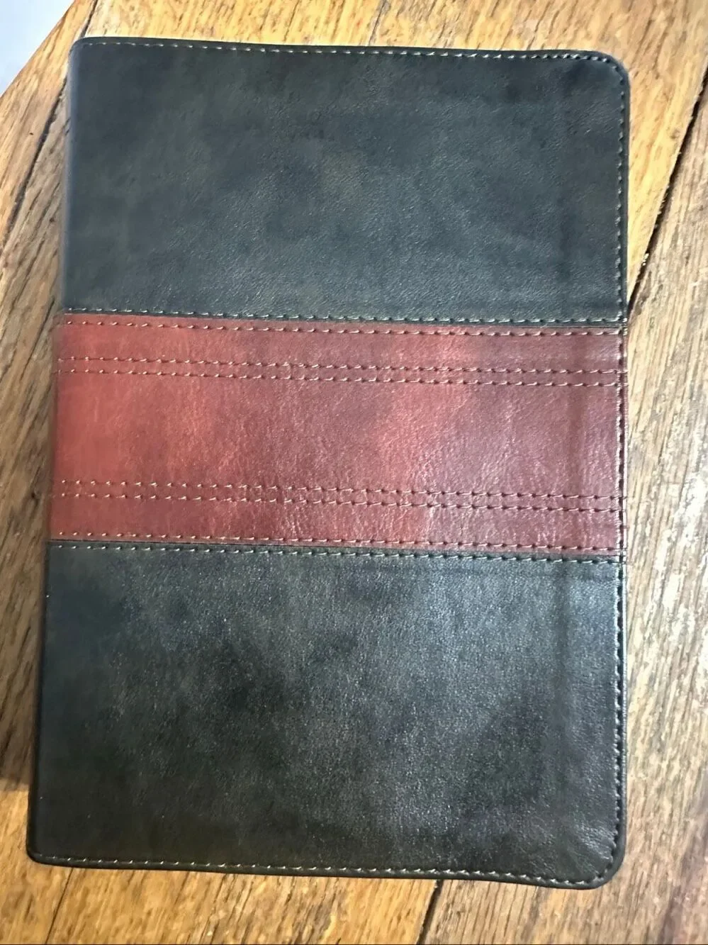 ESV Large Print Personal Size Bible, Red Letter Bible TruTone, Forest/Tan, Trail